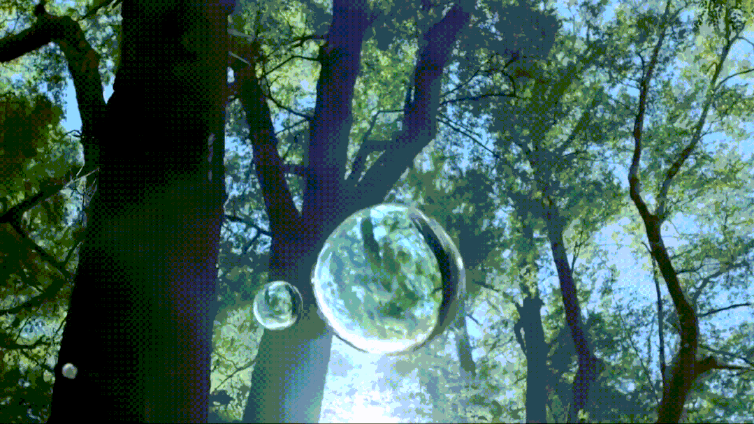 6.gif