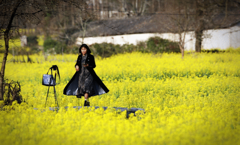 1641799352193001787.png image.png